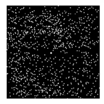 <p>What disease can this amsler chart detect</p>