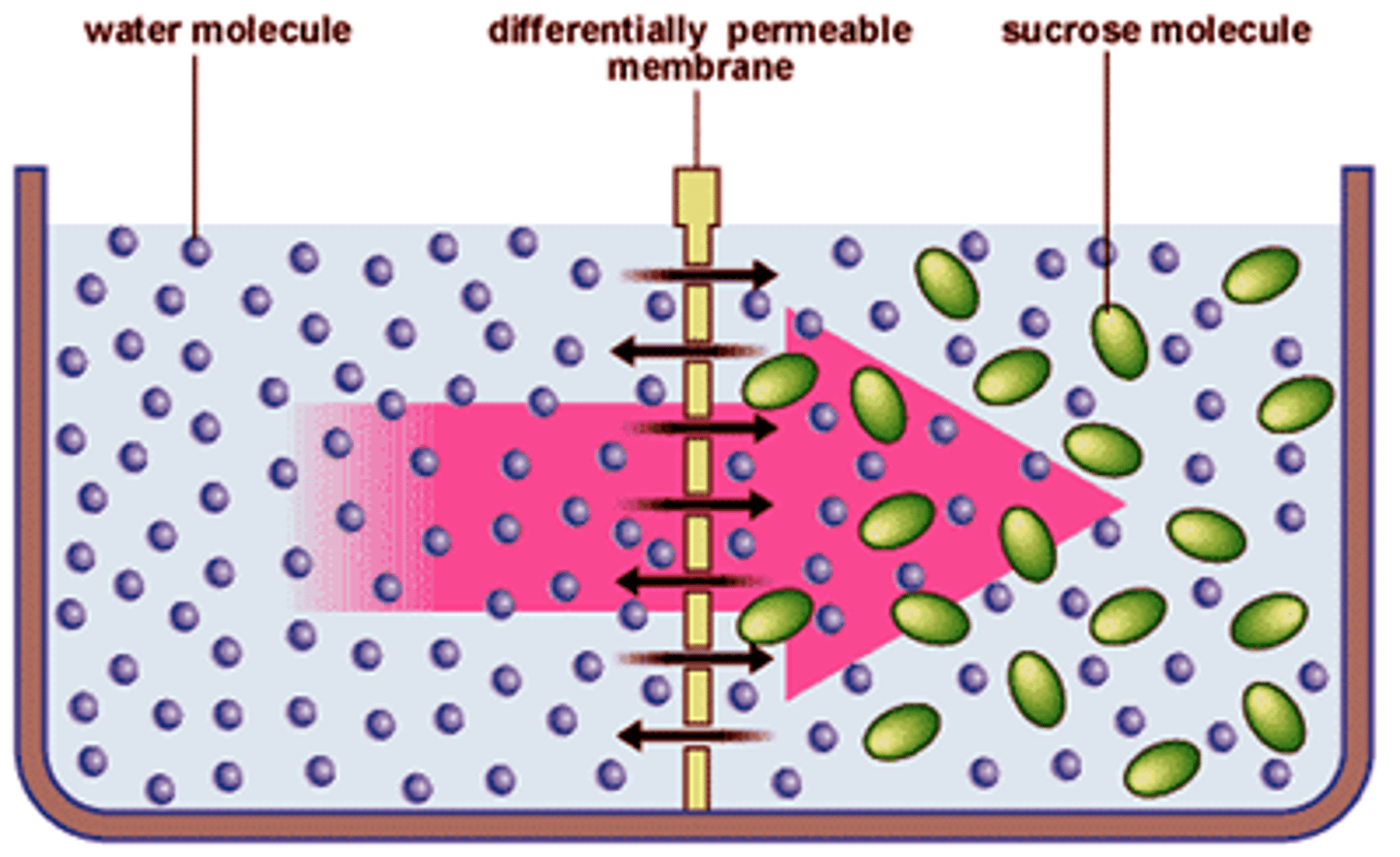 <p>The ability of rock or sediment to let fluids pass through its open spaces or pores.</p>