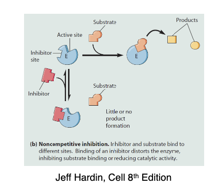 <p>Does not bind to active site but instead binds to the allosteric site and will change the shape of the enzymes active site. Cannot be overcome with higher substrate to inhibitor ratio</p><ul><li><p>Decreases Vmax without affecting Km</p></li><li><p>Ex. Tipranavir with inhibit the anti-retroviral protease inhibitor and is used for prevention and treatment of HIV</p></li></ul>