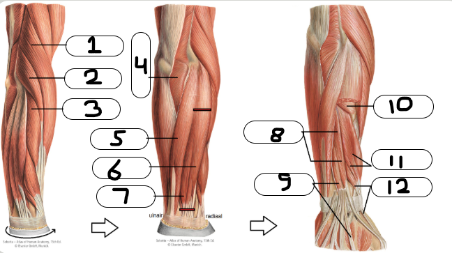 <p>Wat is 5?</p>
