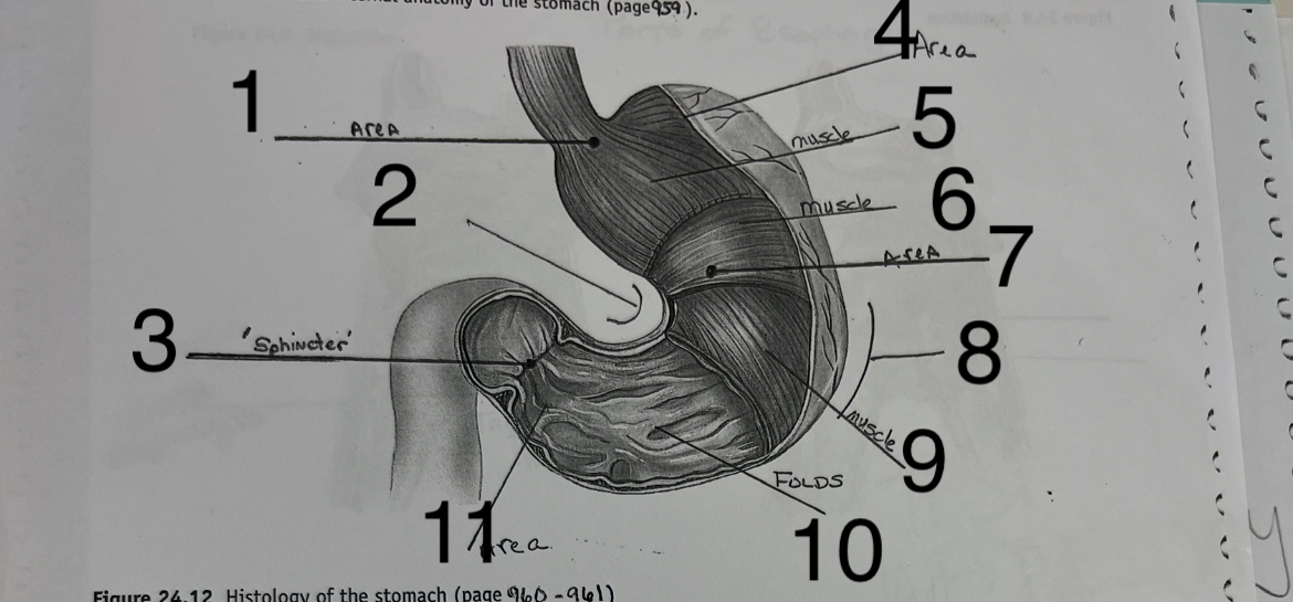 <p>What is #7</p>