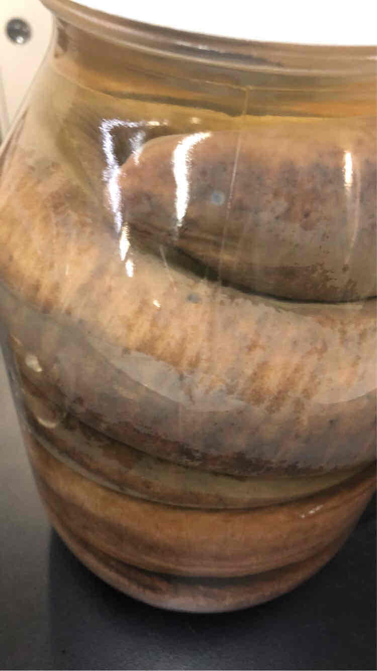 <p><span>Three-toed Amphiuma “conger eel” (Distribution)</span></p>