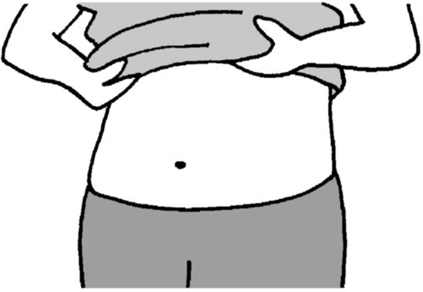 <p>stomach</p>