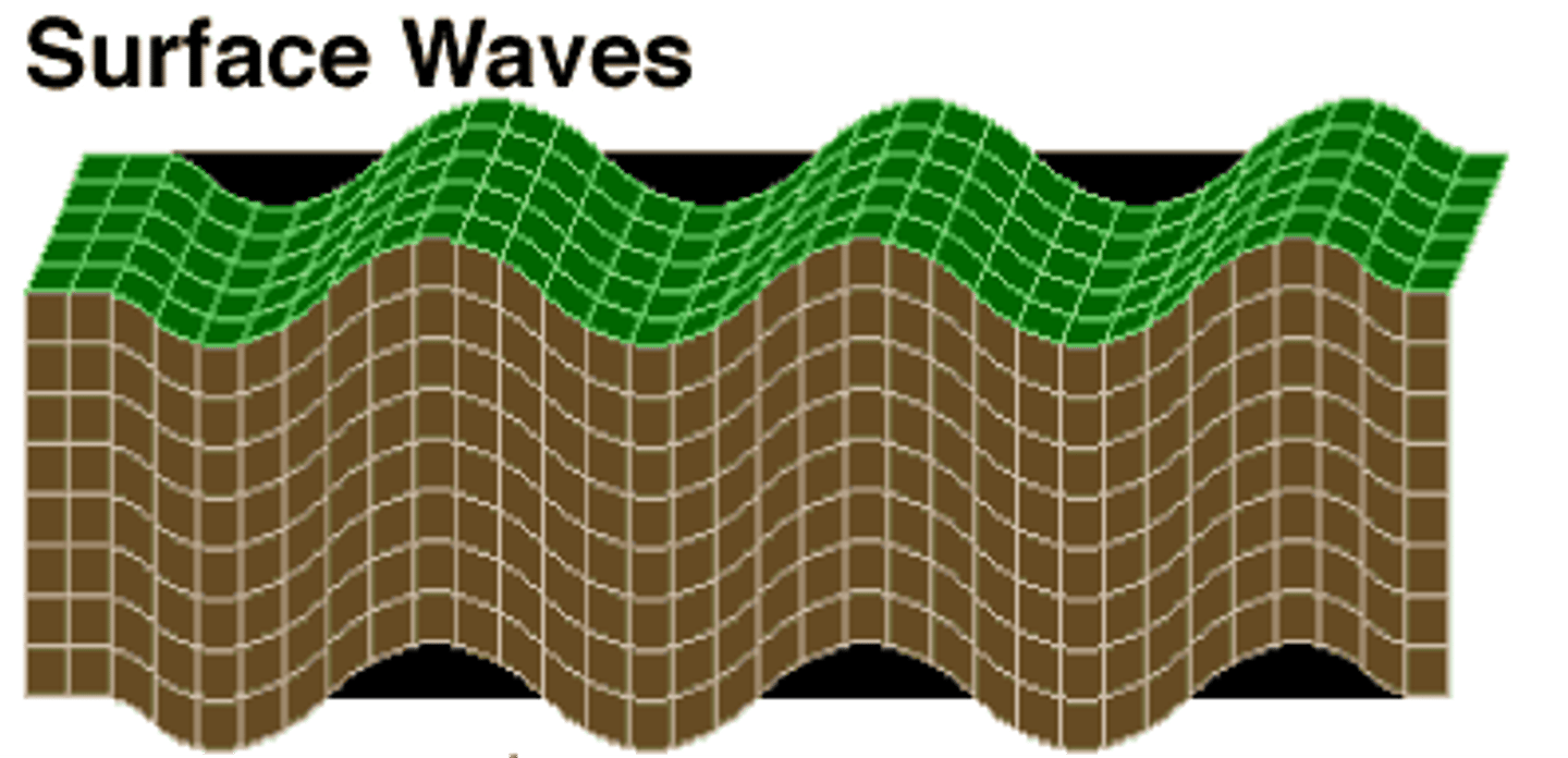 <p>complex motion: side ot side (like a snake) and up and down (like a water wave) simultaneously</p><p>3 multiple choice options</p>