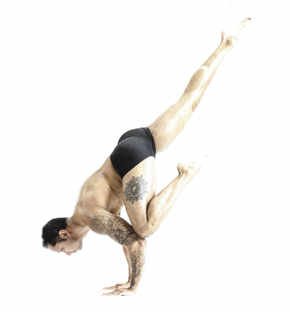 <p>One Legged Crow</p>