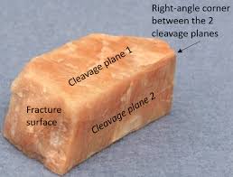 <p>Cleavage</p>