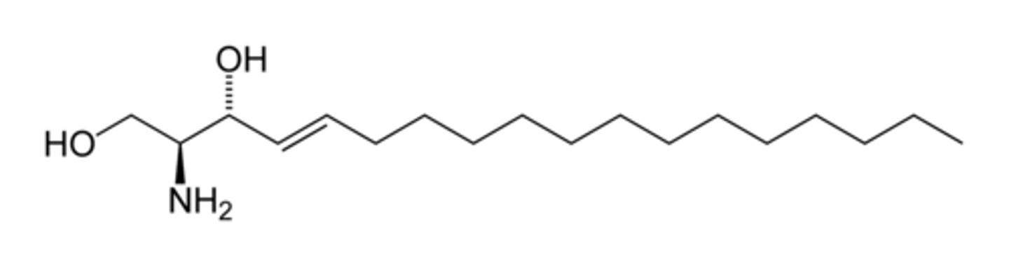 <p>- An 18-C linear amino alcohol</p><p>- OH at C1 and C3, Amino at C2 & Double bond at C4</p>