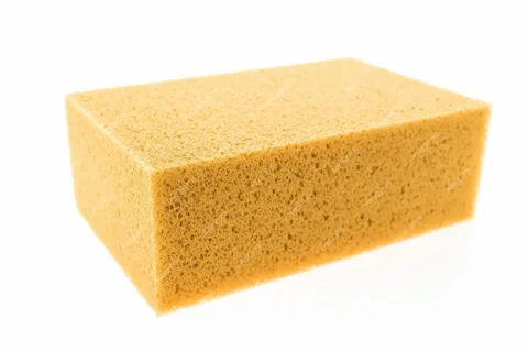 <p>sponge</p>