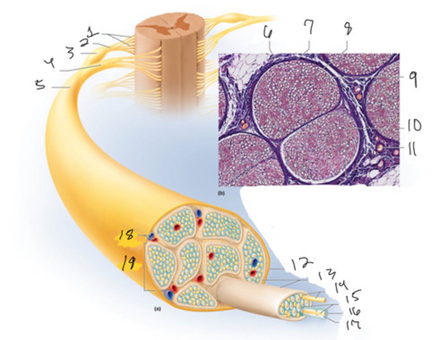 <p>What is number 4</p>