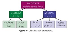 <p>Baryons / antibaryons and mesons</p>