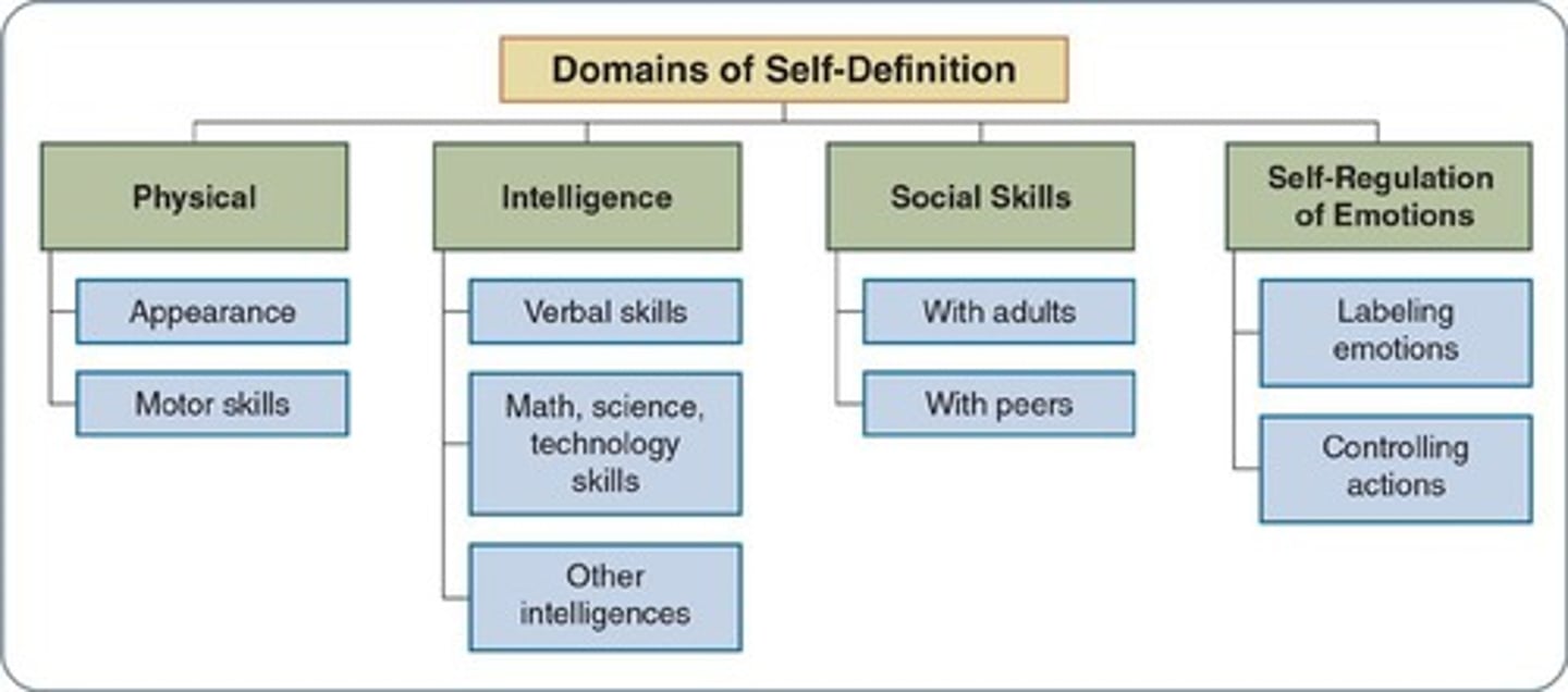 <p>Definition of self through cultural domains.</p>