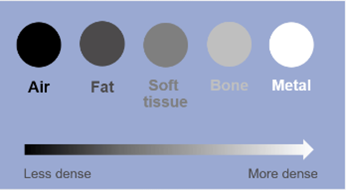 <p>air, fat, water, bone, metal</p>