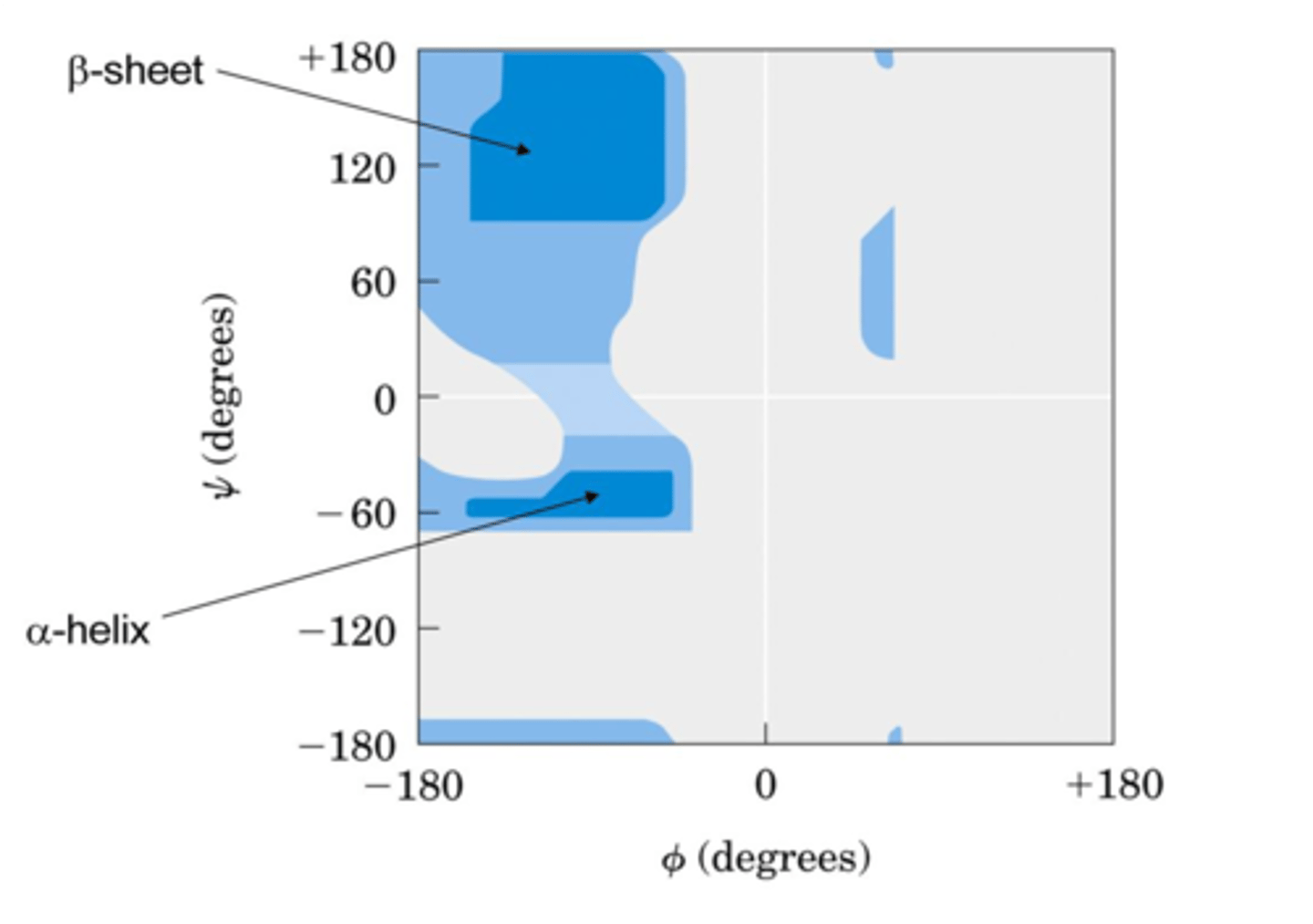 <p>A _____ plot shows the distribution of psi and phi dihedral angles that are found in a protein<br>- Shows the common secondary structure elements<br>- Reveals regions with unusual backbone structure</p>