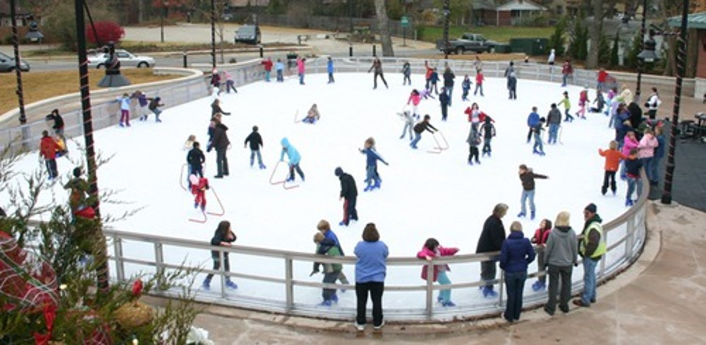 <p>skating rink</p>