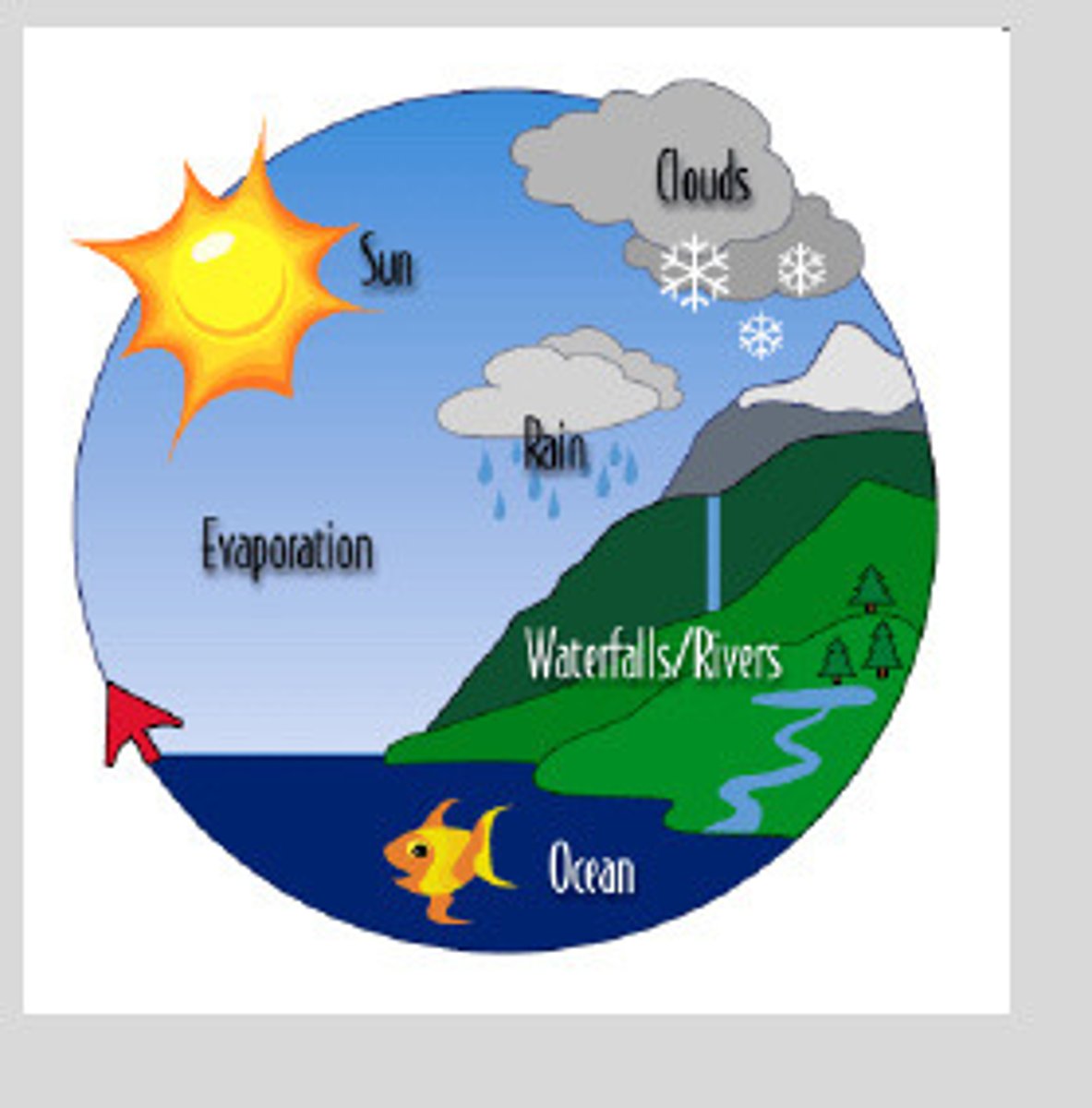<p>hydrologic cycle</p>