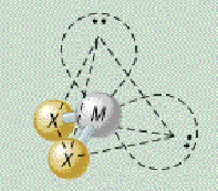 <p>AX₂E₂ shape</p>