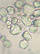 <p>What is this?</p>