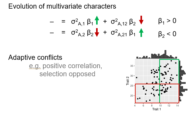 <ul><li><p>positive correlation, selection opposed </p></li><li><p>positive selection on trait one, negative selection on trait 2</p></li><li><p>^ evolutionary stale-mates</p></li></ul><p></p>