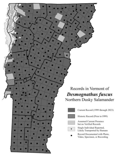 <p>Stream-associated, rocks, logs, and debris for shelter, may share habitat with Northern two-lined and spring salamanders (S5)</p>