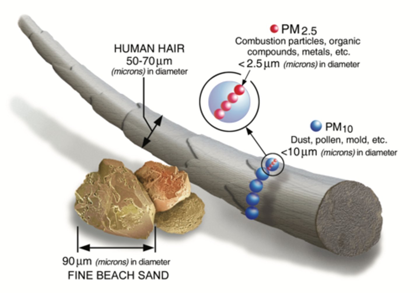 <p>A component of air pollution that is made of larger particulate matter with a diameter of 10 micrometres or less</p>