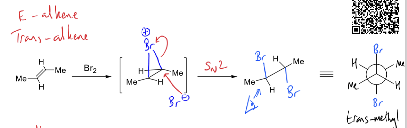 <p>trans methyl </p>