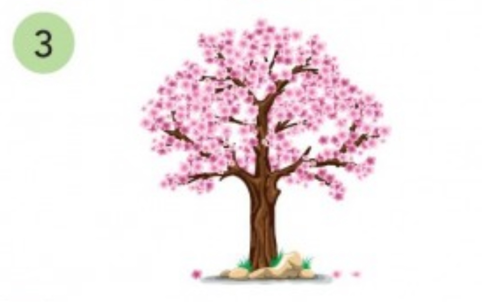 <p>spring</p>