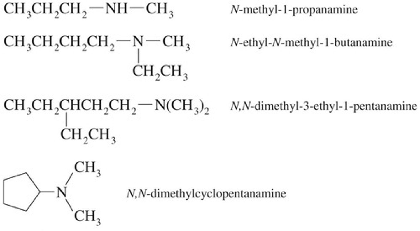 <p>Use longest carbon chain, suffix -amine.</p>