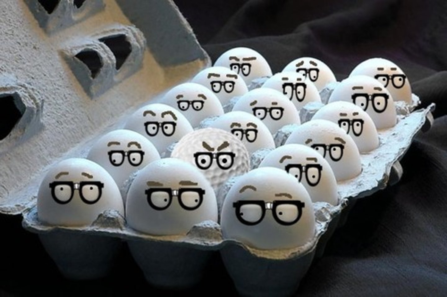 <p>hòa nhập vào</p>