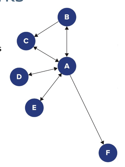 <p>What are social networks in organizations? (2)</p>