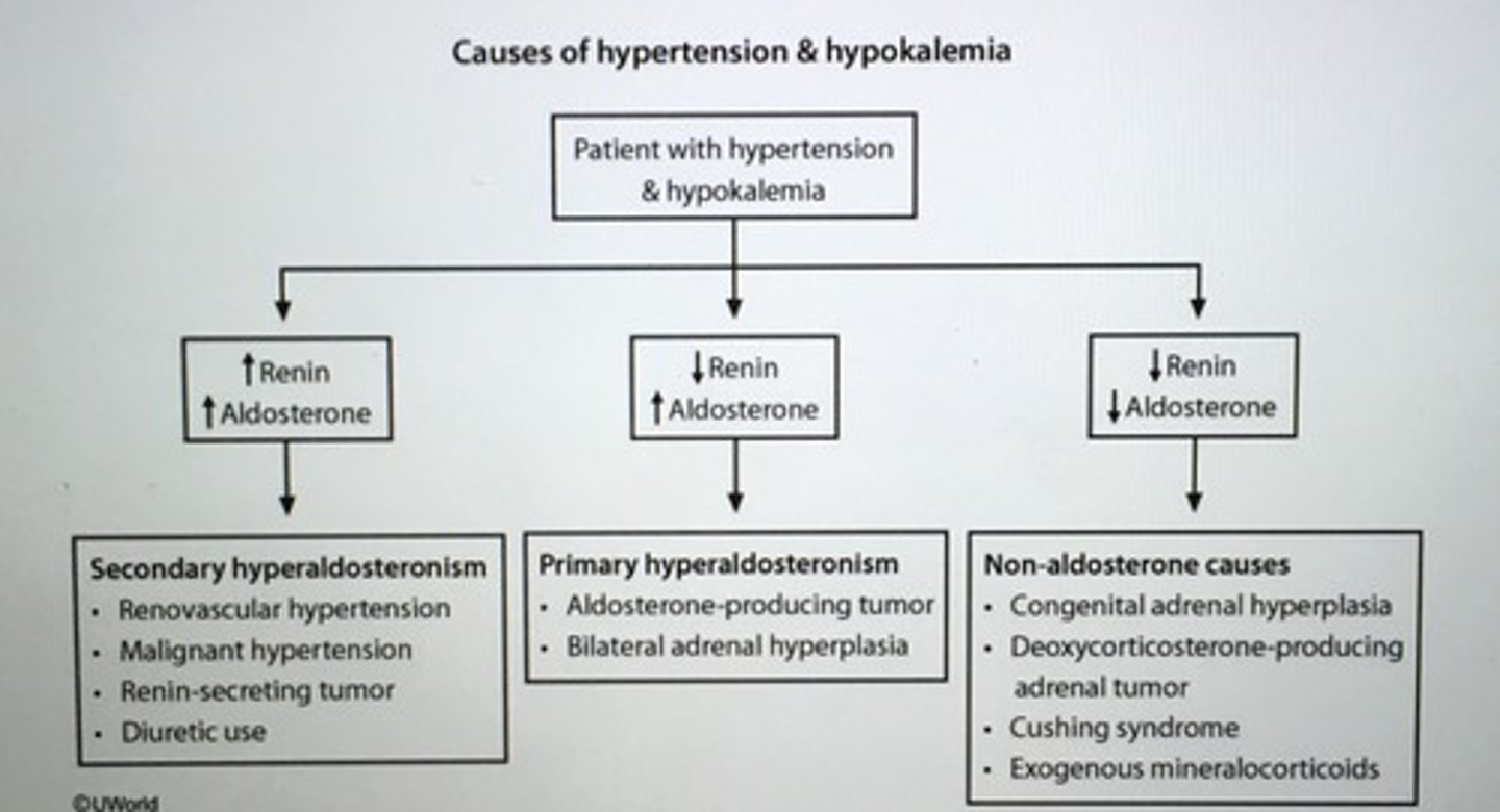 <p>Primary hyperaldosteronism (Conn's syndrome)</p><p>- low renin and INC aldosterone</p>