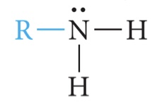 <p>1 carbon</p>