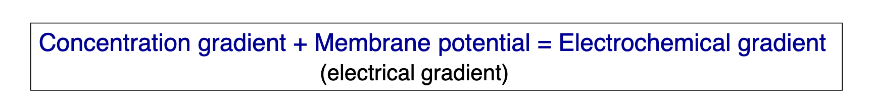 <p></p>