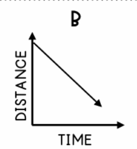 <p>Describe this graph</p>