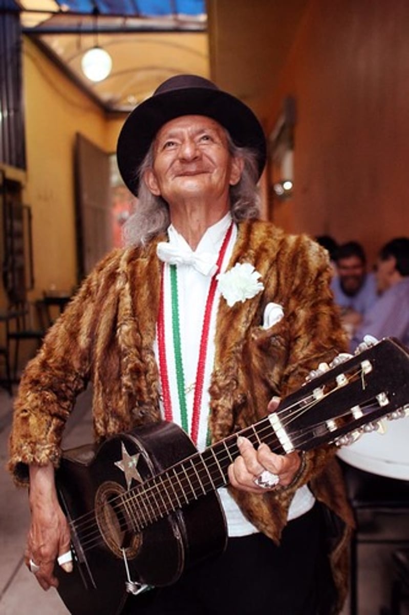 <p>musician</p>