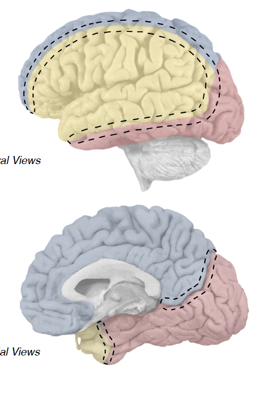 <p>powdery yellow</p>