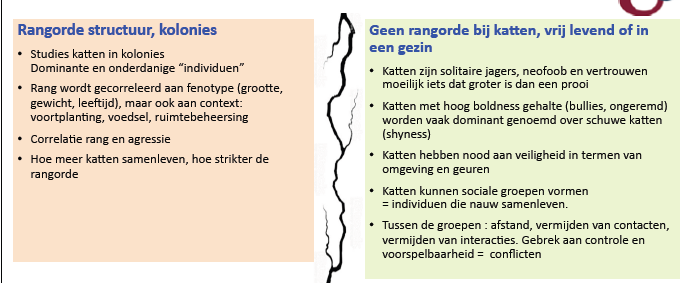 <p>○ Directe contacten tussen katten van verschillende sociale groepen worden zoveel mogelijk vermeden!</p><p></p><p>○ Een sociale groep is een gesloten gemeenschap</p><p></p><p>○ Tussen groepen</p><p>■ Afstand vermijden van contacten</p><p></p><p>○ Aanvaarding nieuwe kat in een groep = zeer traag proces</p>