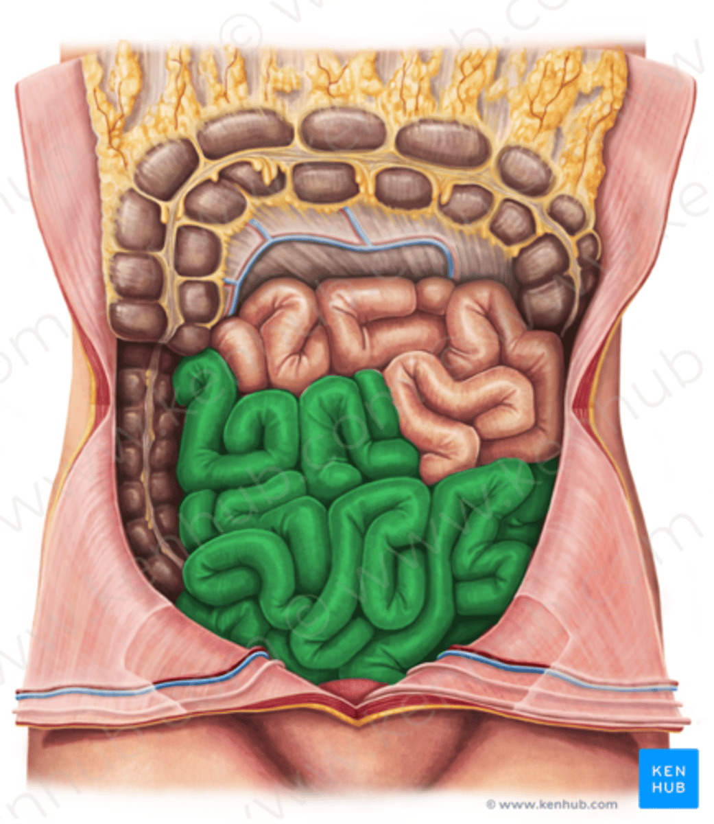 <p>What is this?</p>