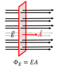 <p>It means that the angle between the area vector and the electric field is 0. </p><p><u>(cos(0) is = 1).</u></p>