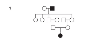 <p>What is pedigree #1 ?</p>