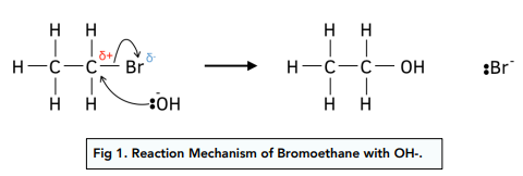 <p>-dipole on C-I/F/Cl , c is delta +,</p><p>-curly arrow from bond to delta - halogen</p><p>-curly arrow from electron pair on OH- to C delta +, forming dative covalent bond</p><p>-alcohol + halide formed</p><p><span style="color: blue">-boiled under reflux with aqueous KOH (alkali) solution</span></p>