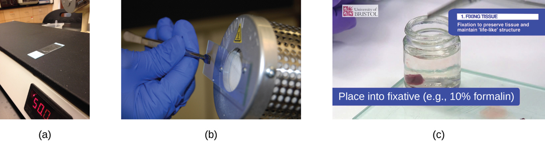 <p><strong>A:</strong> A <strong>slide warmer</strong>.</p>