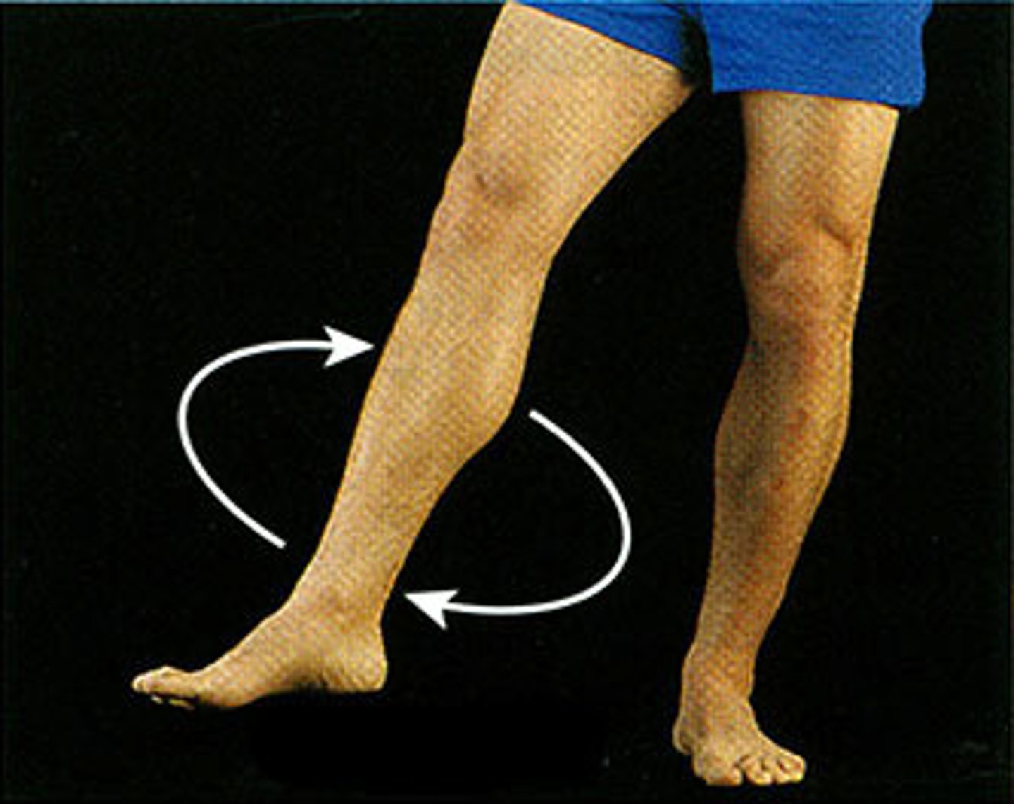 <p>Circumduction of hip</p>