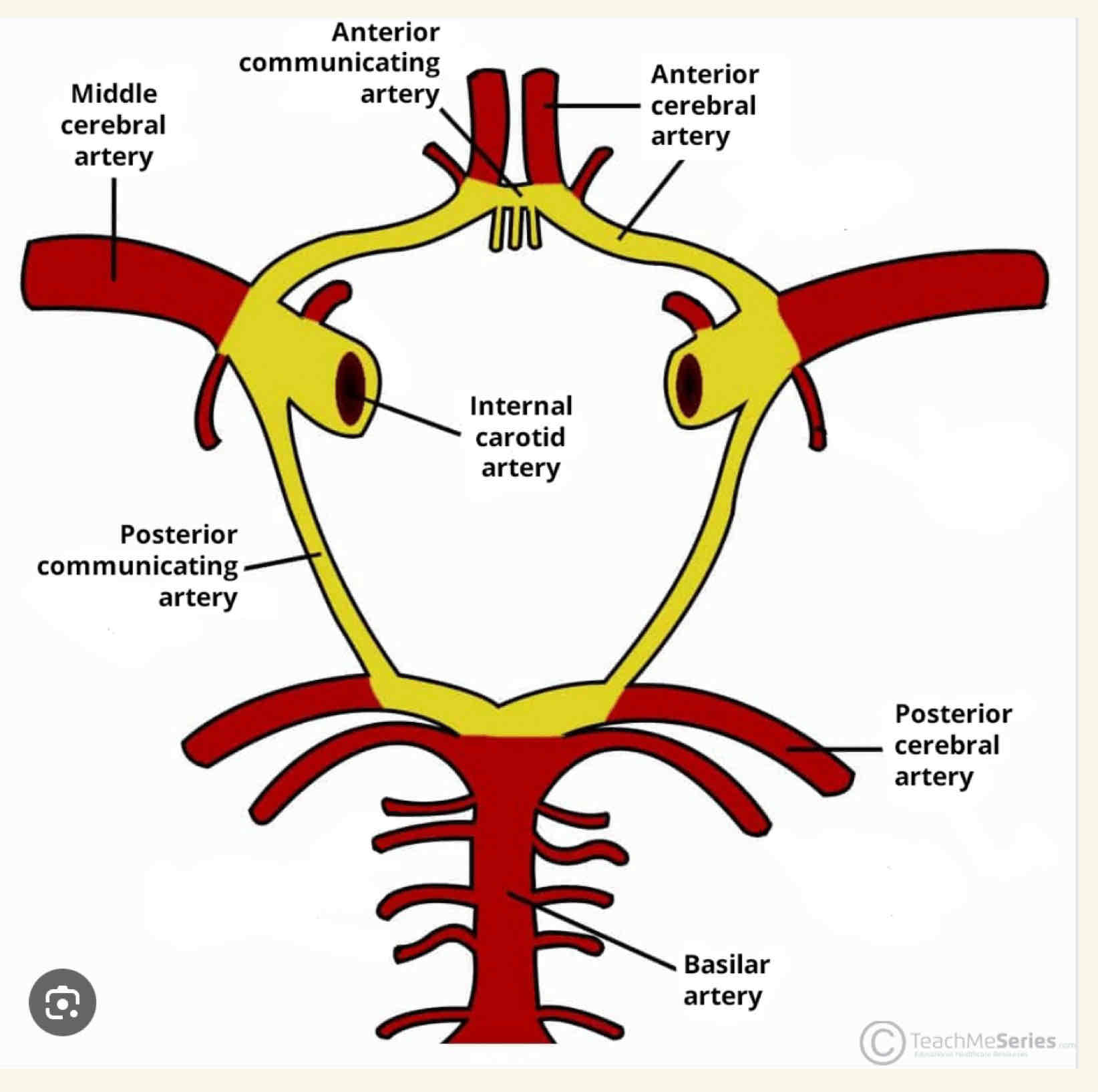 <p>What is the structure highlighted </p>