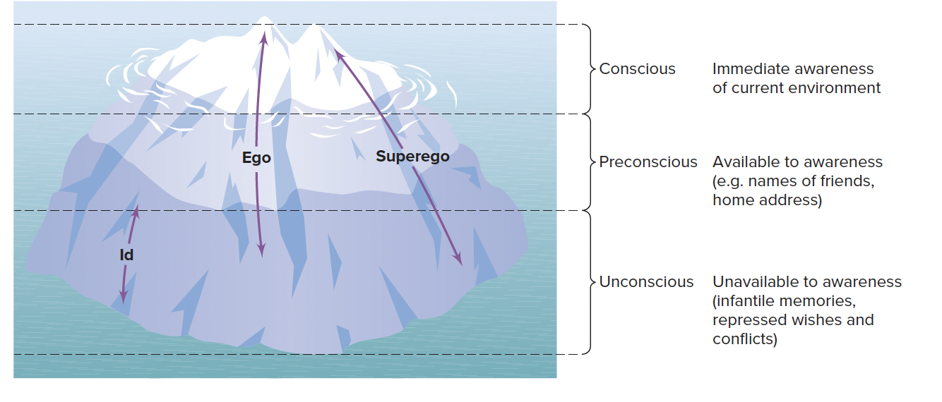 <p>Unconscious motives and early experiences shape personality.</p><p><span><em><u>Four aspects of Freudian theory&nbsp;</u></em></span></p><p><strong>Levels of Consciousness:</strong></p><ul><li><p><em>Conscious:</em> Current thoughts.</p></li><li><p><em>Preconscious:</em> Thoughts that can be recalled. </p></li><li><p><em>Unconscious:</em> Repressed thoughts.</p></li></ul><p><strong>Structural Model:</strong></p><ul><li><p><em>Id:</em> Only tries to fulfil your desires. E.g. If you're hungry, the id wants you to eat anything right away, regardless of where you are.</p></li><li><p><em>Ego:</em> Rational part that balances id and superego. Keeps conflict hidden. Uses defence mechanisms. T<span>ries to satisfy the id's desires in a socially acceptable way. E.g. If you’re hungry, the ego might suggest waiting until lunchtime instead of eating in class.&nbsp;</span></p></li><li><p><em>Superego:</em> Moral compass influenced by parents and society. It makes us feel proud if we do something right and guilty if doing something wrong.</p></li></ul><p> <strong>Defence Mechanisms:</strong></p><ul><li><p><em>Repression:</em> Blocking painful memories from entering consciousness. </p></li><li><p><em>Projection:</em> Attributing unacceptable thoughts to others.</p></li><li><p><em>Sublimation:</em> Channeling impulses into socially acceptable activities.</p></li></ul><p><strong>Psychosexual Development (OAPLG)</strong></p><ul><li><p><strong>Oral Stage (0-1 year):</strong> Pleasure centers on the mouth (sucking, biting). Issues can lead to dependence or aggression in adulthood.</p></li><li><p><strong>Anal Stage (1-3 years):</strong> Focus on bowel and bladder control. Success can lead to orderliness or messiness.</p></li><li><p><strong>Phallic Stage (3-6 years):</strong> Exploration of gender identity and relationships. Conflicts can cause guilt or anxiety about sexuality.</p></li><li><p><strong>Latency Stage (6-puberty):</strong> Sexual feelings are repressed, focusing on friendships and skills.</p></li><li><p><strong>Genital Stage (puberty onward):</strong> Mature sexual relationships develop; balance between various life areas is sought.</p></li></ul><p></p>