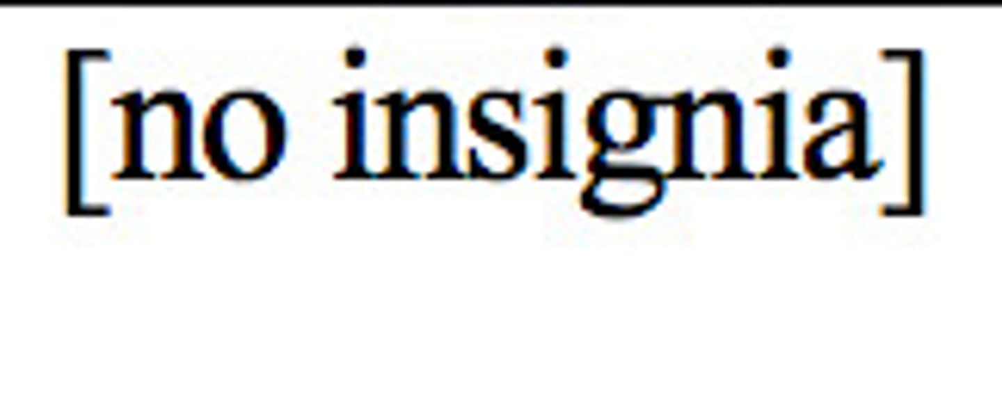 <p>Air Force: E-1</p>