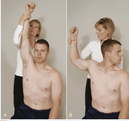 <p>Wright’s Hyperabduction Test</p>