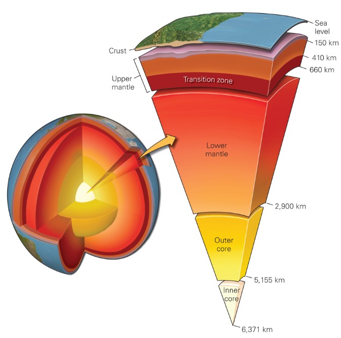 <p>Contains heavier elements<br>By least to most:</p><ol><li><p>Iron</p></li><li><p>Oxygen</p></li><li><p>Silicon</p></li><li><p>Magnesium</p></li><li><p>Nickel, sulfur, calcium, aluminum</p></li></ol><p></p>