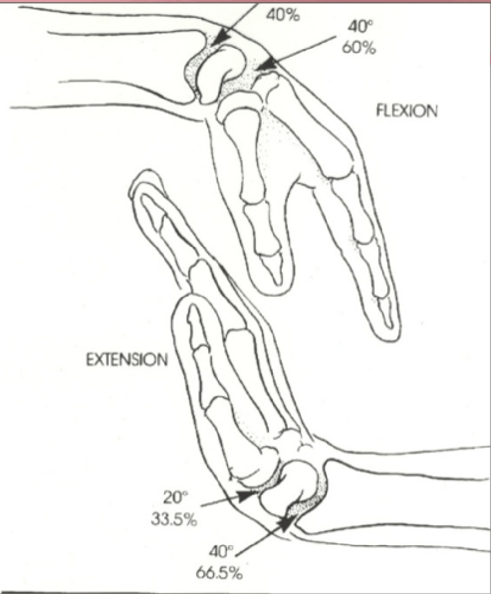 <p>art. radiocarpea 40°</p><p>art. intercarpea 20°</p>