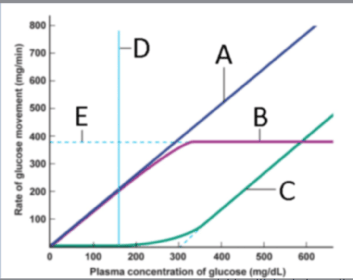 <p>Renal threshold</p>