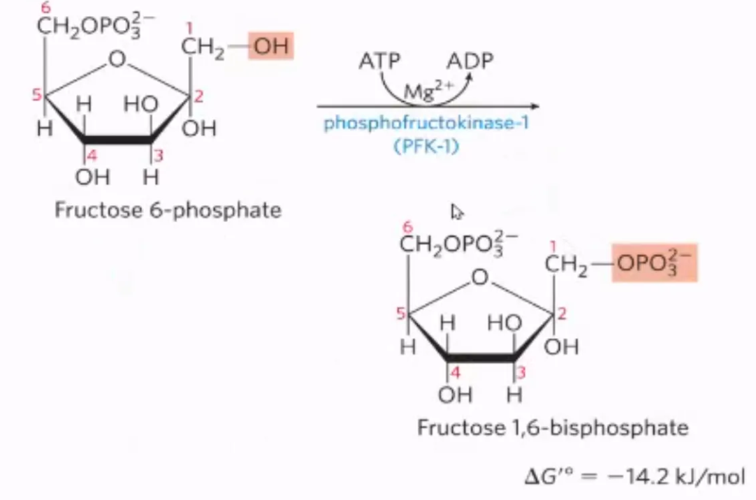 <p>what step is this? </p>